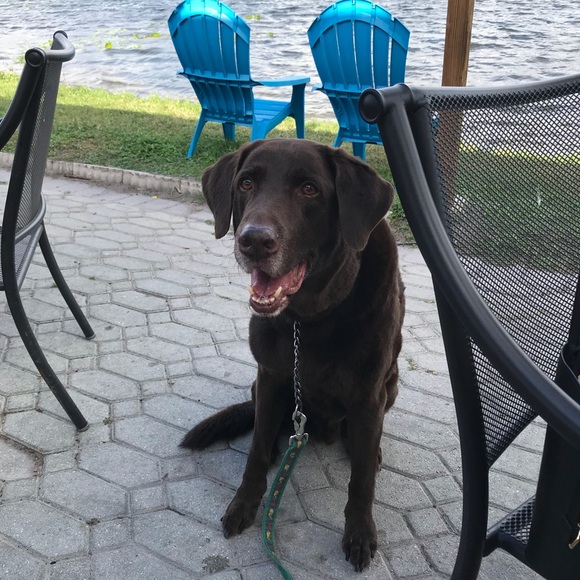 Meet your Posher, Jamie - Picture 11 of 12